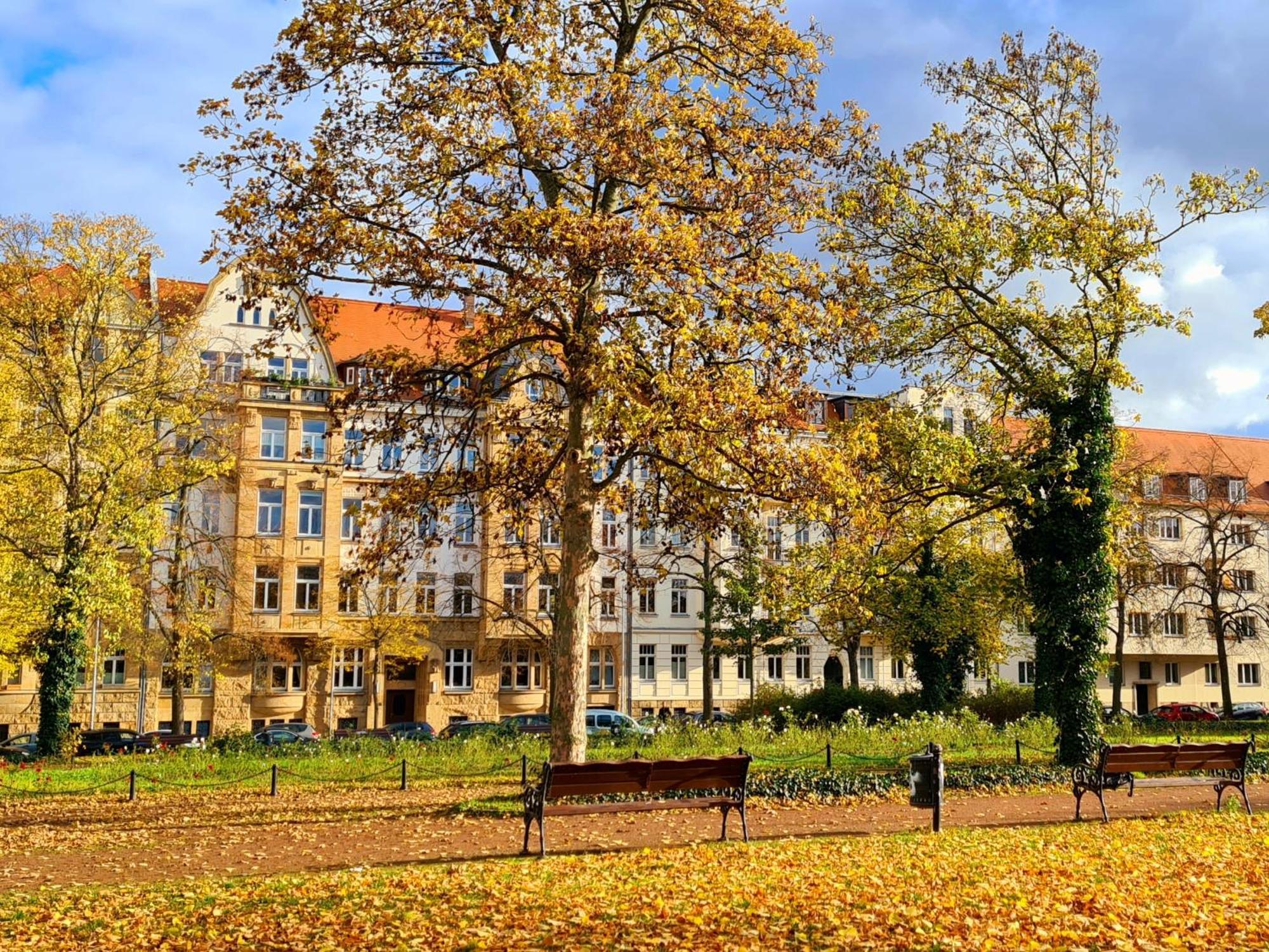 Appartamento Kleinod Am Park - Zentrum-Suedost Lipsia Esterno foto